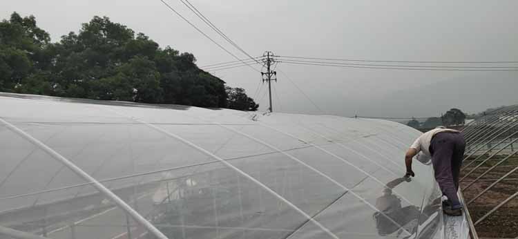 Vegetable Greenhouse