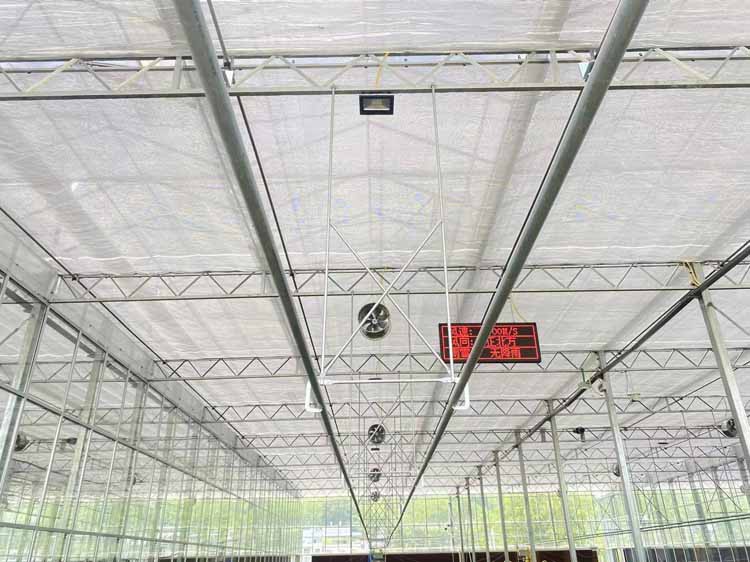 greenhouse vegetables greenhouse vegetables