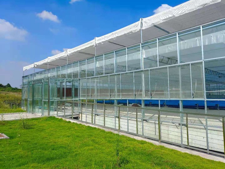 Attention to vegetable cultivation in greenhouses