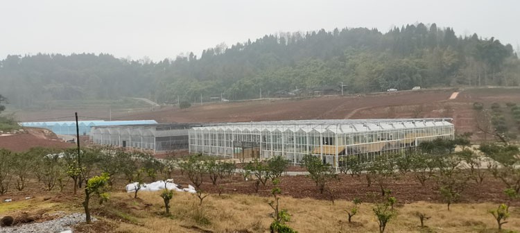 Multi-span greenhouse features and dehumidification methods