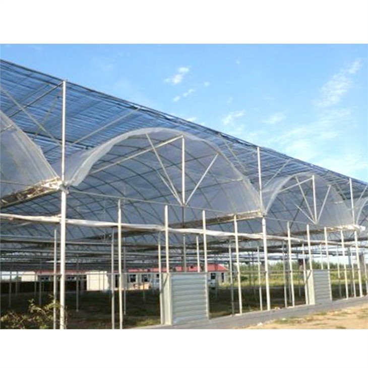 200 micron plastic greenhouse price