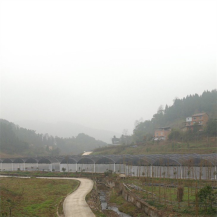 commercial greenhouse plastic manufacture