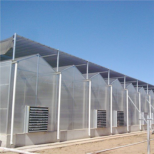 Làmina de PC d'hivernacle de 4 mm