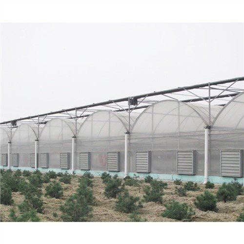 Plàstic hivernacle 50 X 100