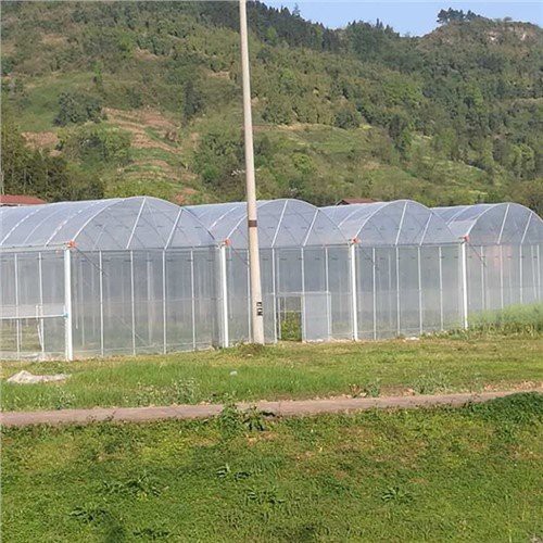 Home Depot de plàstic d'hivernacle de 6 mil