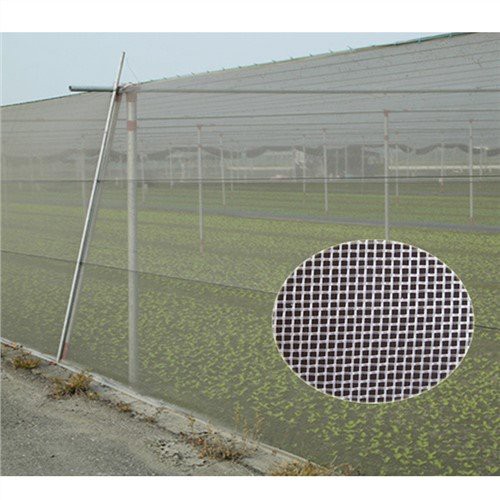 Neta anti -insectes per a hivernacle