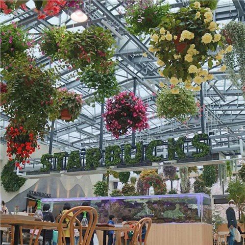 Cafe d'hivernacle
