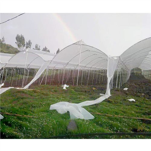Cobertures d’hivernacle de peses pesades