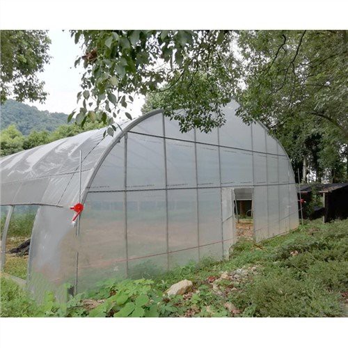 Mini hivernacle per a plantes interiors