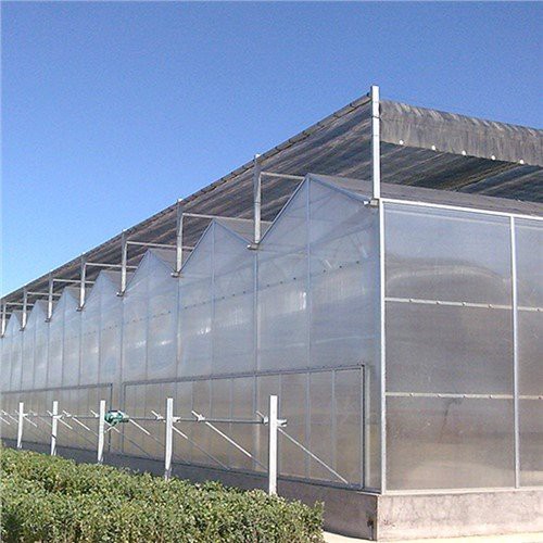 Hivernacle multi badia