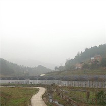 Hivernacle de la casa d'ombra