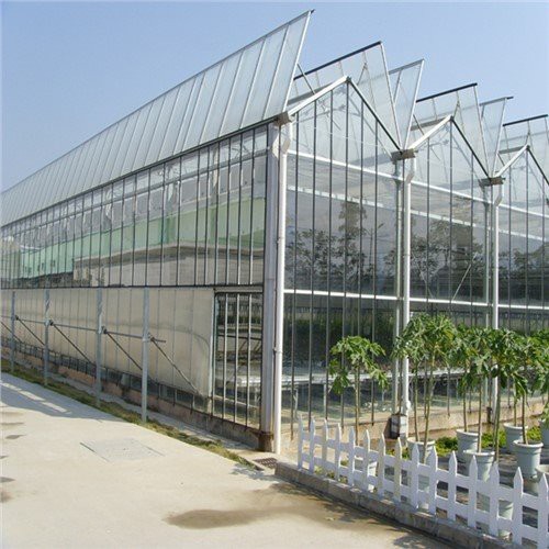 Hivernacle transparent multi -span