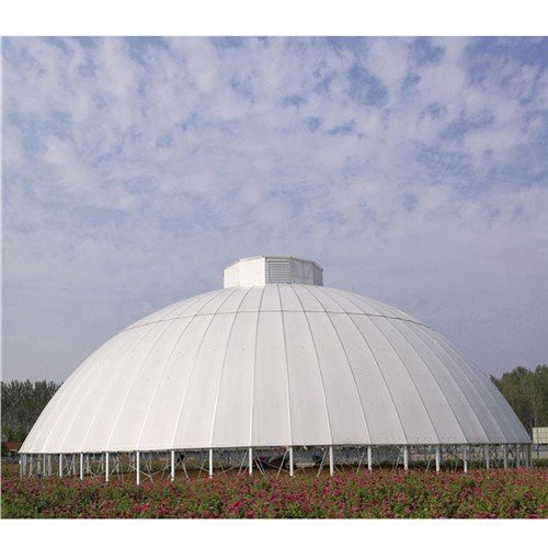 Hivernacle de la cúpula geodèsica victoriana