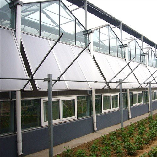 Hivernacle multi-span zigzag